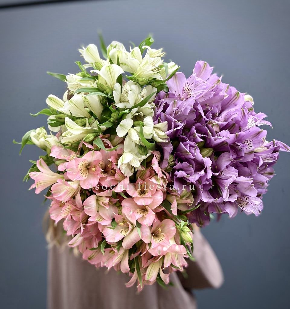 Альстромерии