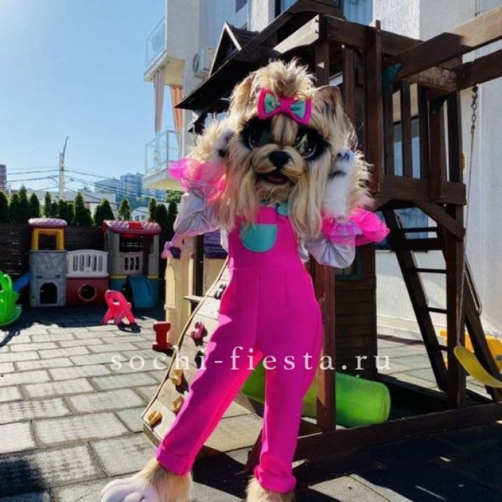 Аниматор Гламурная Собака в Прокопьевске