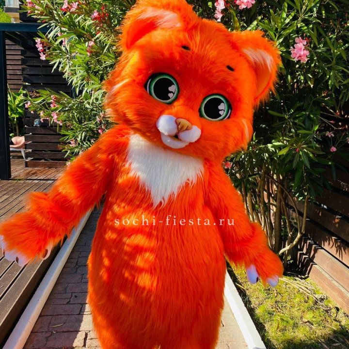 Аниматор Котик в Прокопьевске