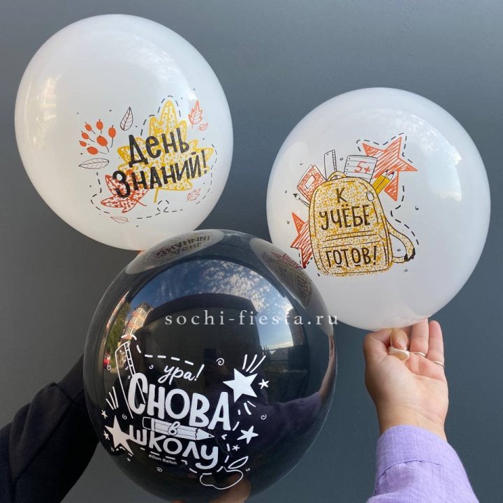 Воздушный шар к 1 сентября в Прокопьевске