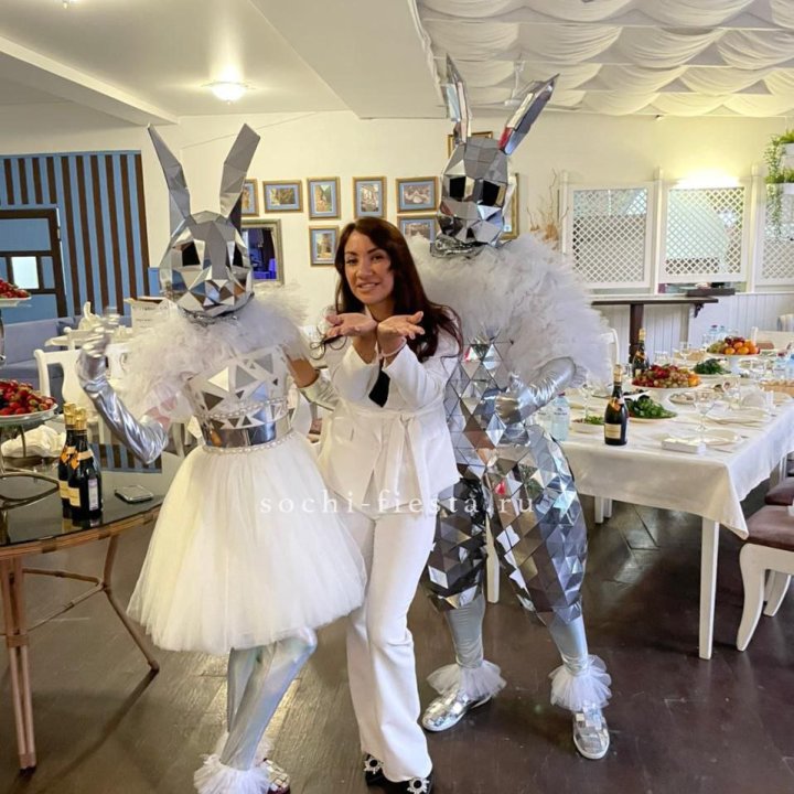 Аниматор Зеркальный заяц в Прокопьевске