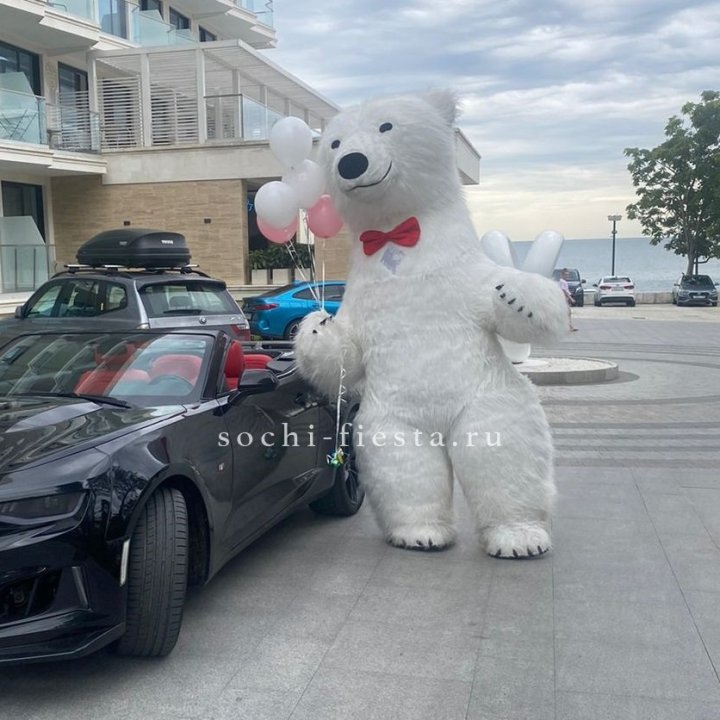 Аниматор Белый Медведь в Прокопьевске