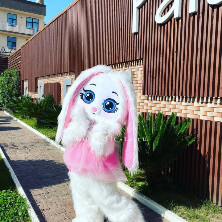 Аниматор Зайка в Прокопьевске