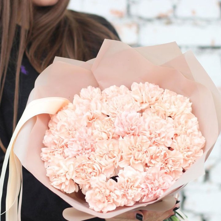 Диантусы №2 в Прокопьевске