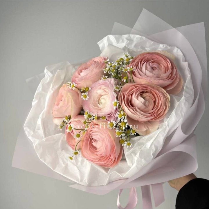 Ранункулюсы с ромашками в Прокопьевске