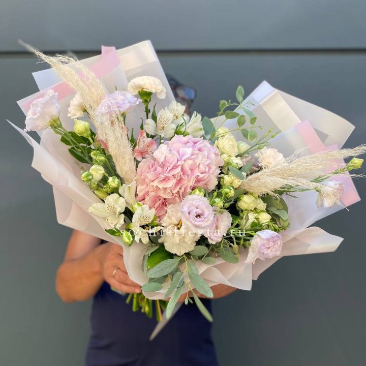 Гортензия "Пинк флоид" в Прокопьевске