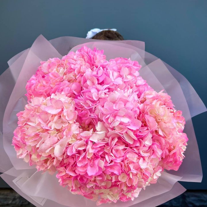 9 ярко розовых гортензий в Прокопьевске