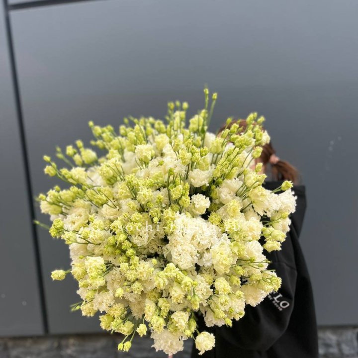 51 белая эустома в Прокопьевске