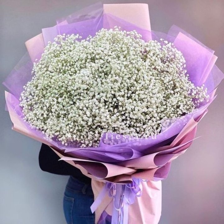 Облако белых гипсофил в Прокопьевске