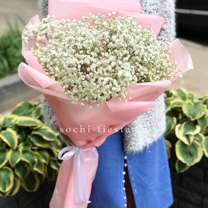 Белоснежные гипсофилы в Прокопьевске