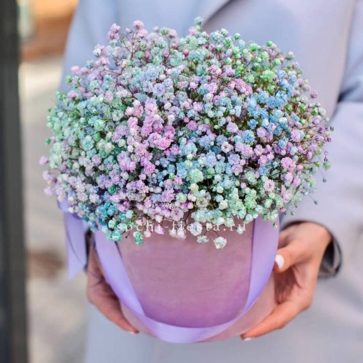 Гипсофилы в шляпной коробке "Кандилайт" в Прокопьевске