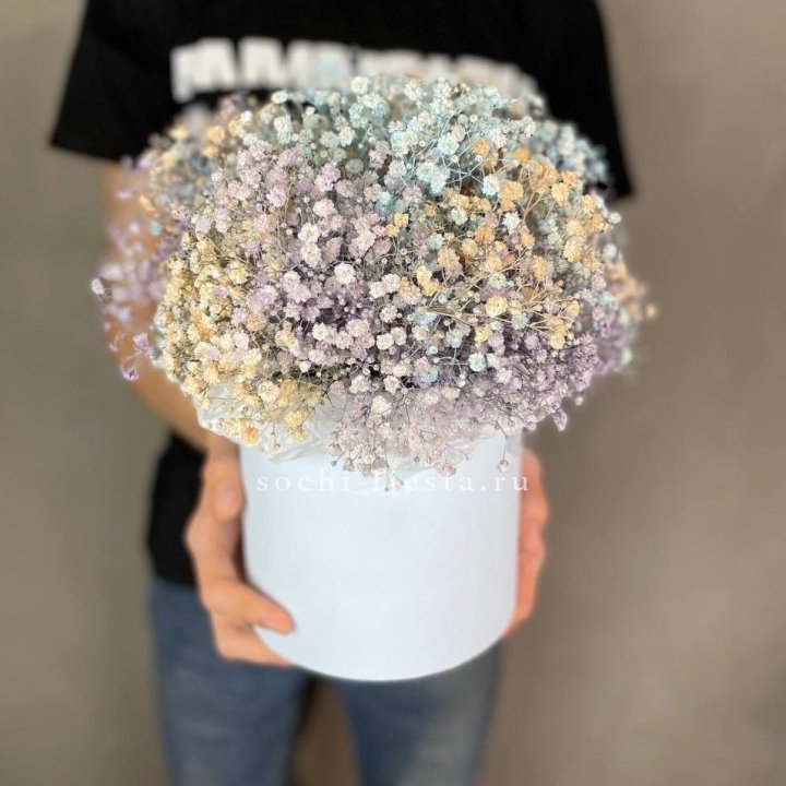 9 Радужных гипсофил в шляпной коробке в Прокопьевске