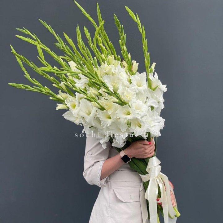 19 белых гладиолусов под ленту в Прокопьевске