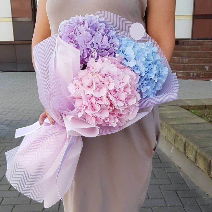 Букет гортензий "Пуф" в Прокопьевске