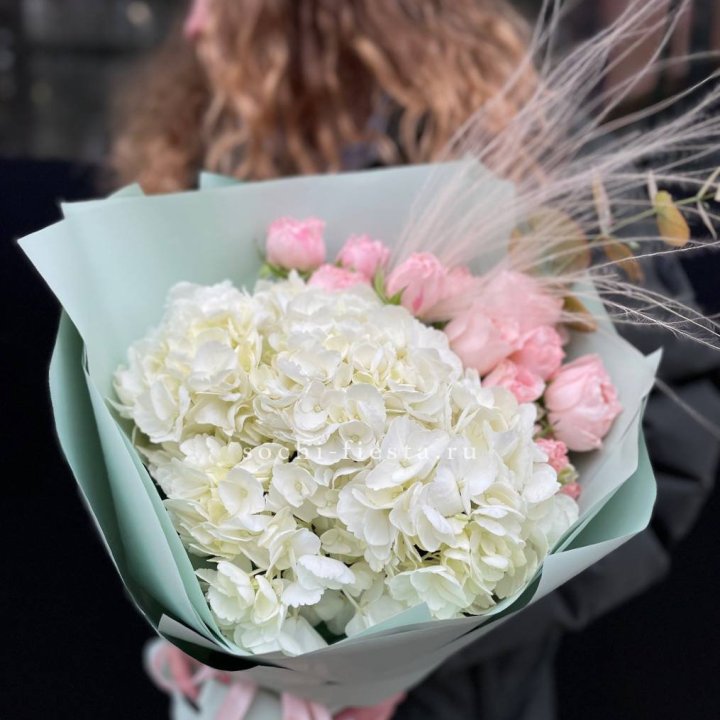 Гортензия "Жасмин" в Прокопьевске