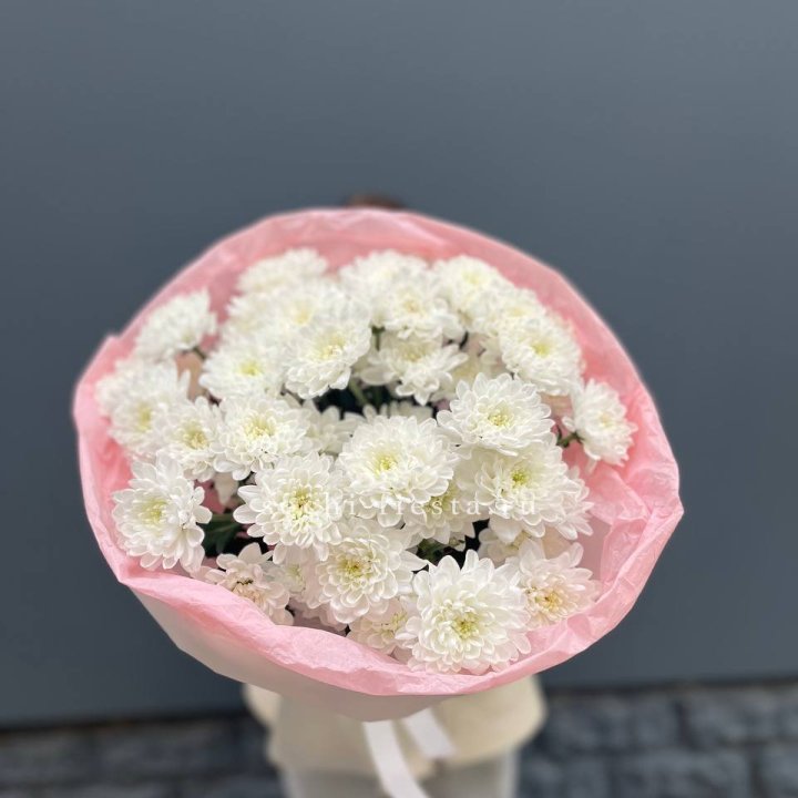  5 хризантем  в Прокопьевске