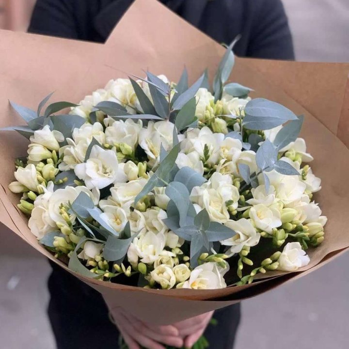 51 фрезия с эвкалиптом в Прокопьевске