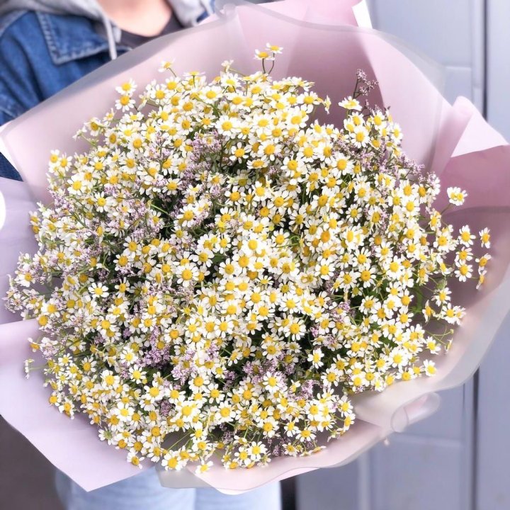Букет ромашек №1 в Прокопьевске