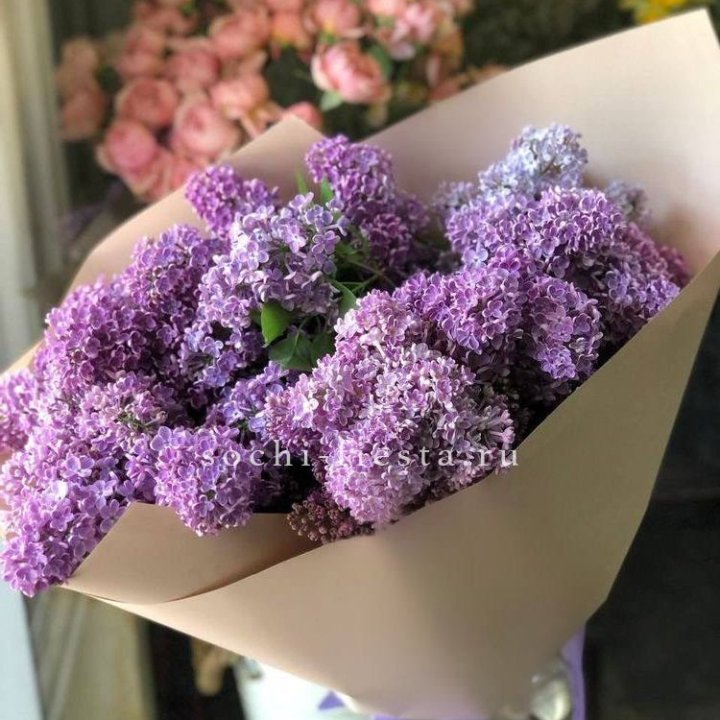 Букет сирени №2 в Прокопьевске