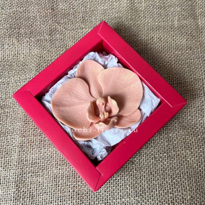 Бельгийский шоколад Орхидея в Прокопьевске