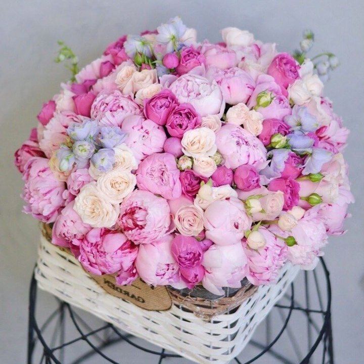 Композиция "Черри" в Прокопьевске