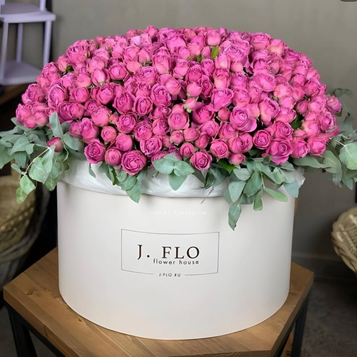 Цилиндр с Мисти Бабблс  в Прокопьевске