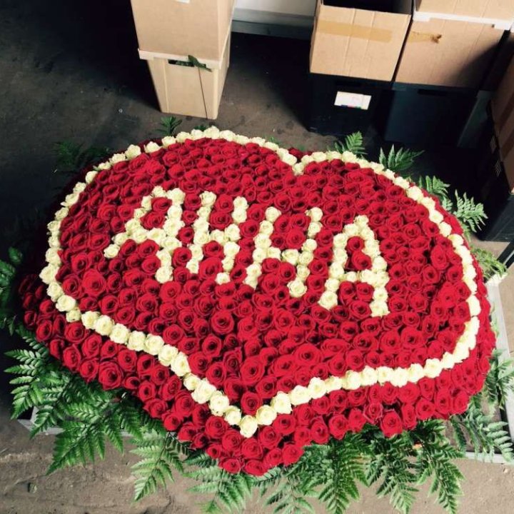 555 роз с именем в Прокопьевске