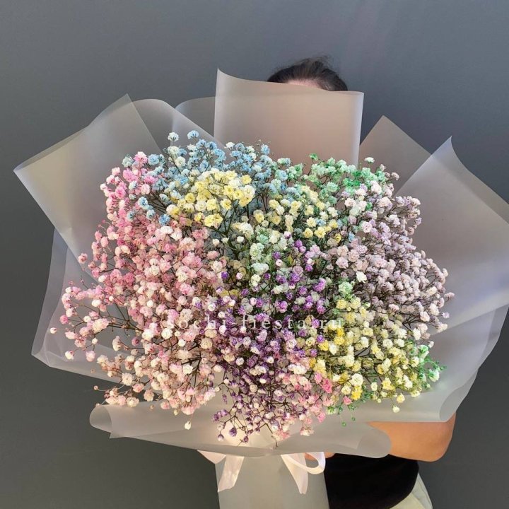 Радужные гипсофилы  в Прокопьевске