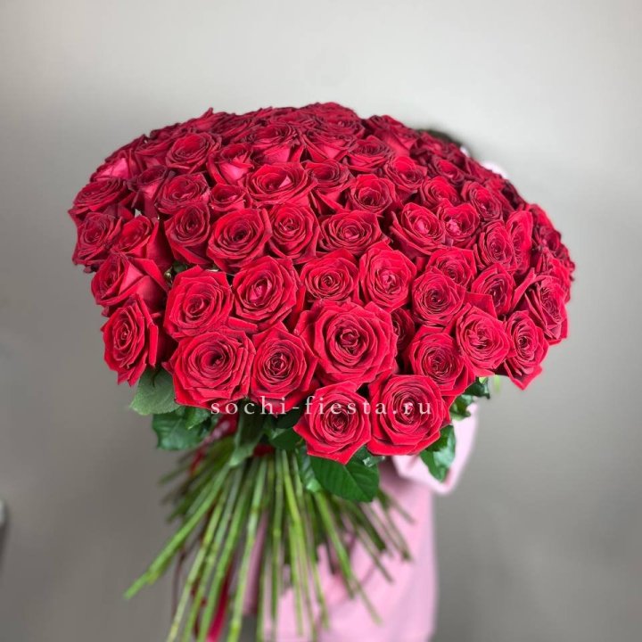 101  голландская роза  в Прокопьевске