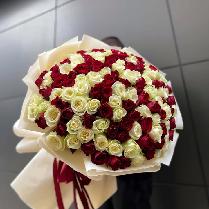 101 высокая импортная роза  в Прокопьевске