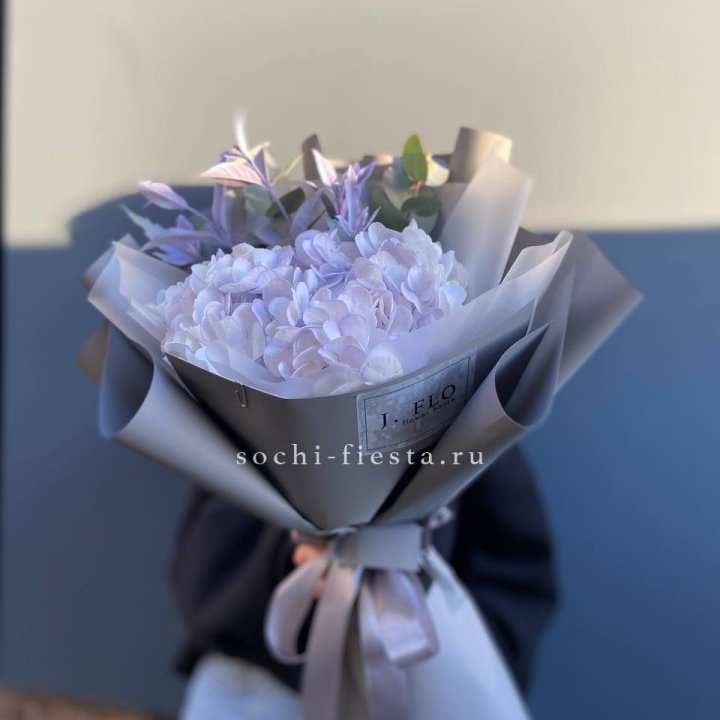 Гортензия "Виолета" в Прокопьевске