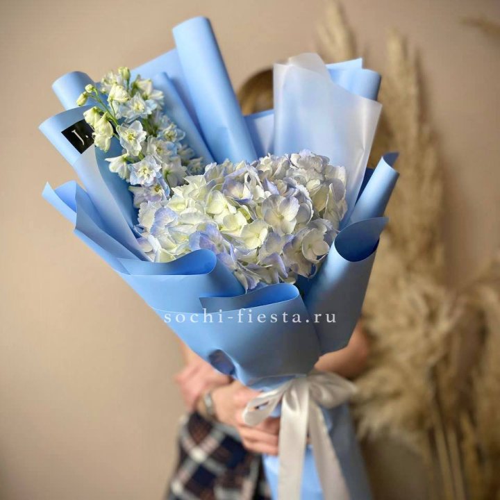 Гортензия "Блю скай" в Прокопьевске