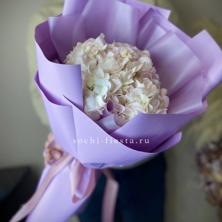 Гортензия розовая в Прокопьевске