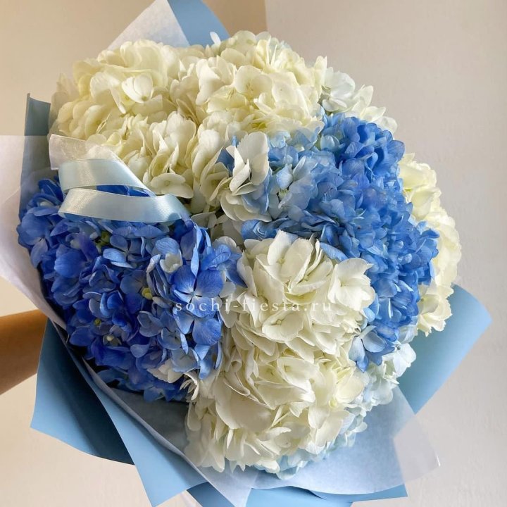 Букет гортензий "Голубая лаза" в Прокопьевске
