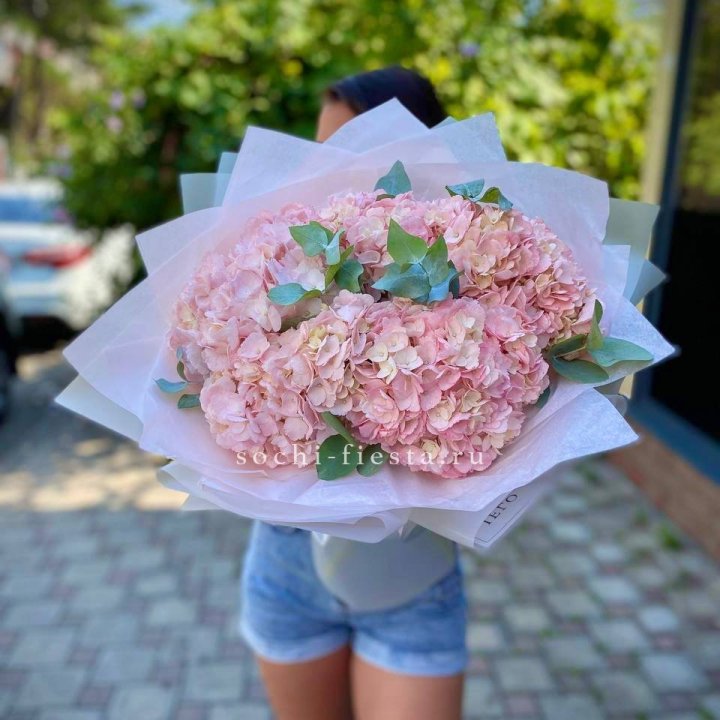 5 розовых гортензий  в Прокопьевске