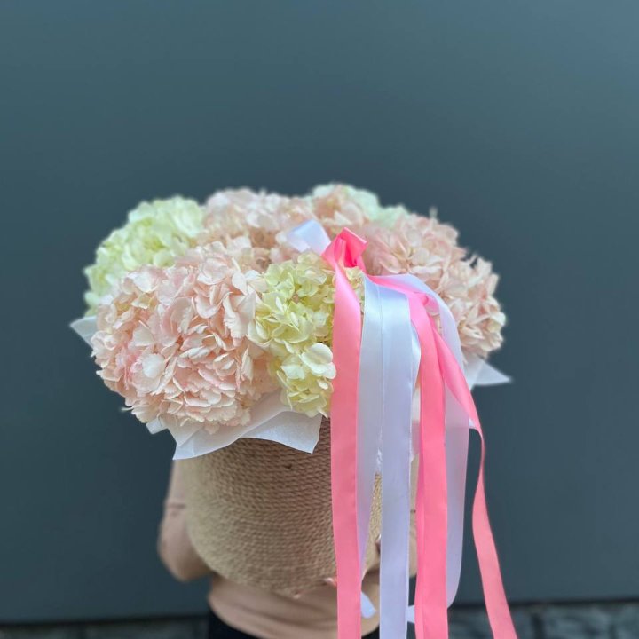 7 гортензий в кашпо в Прокопьевске