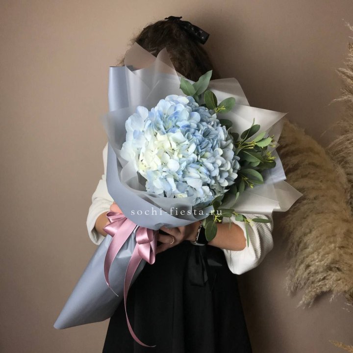 Гортензия Уно в Прокопьевске