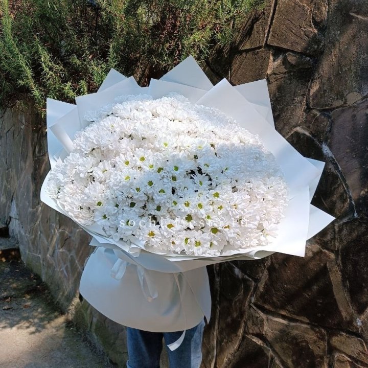 Облако хризантем №2 в Прокопьевске