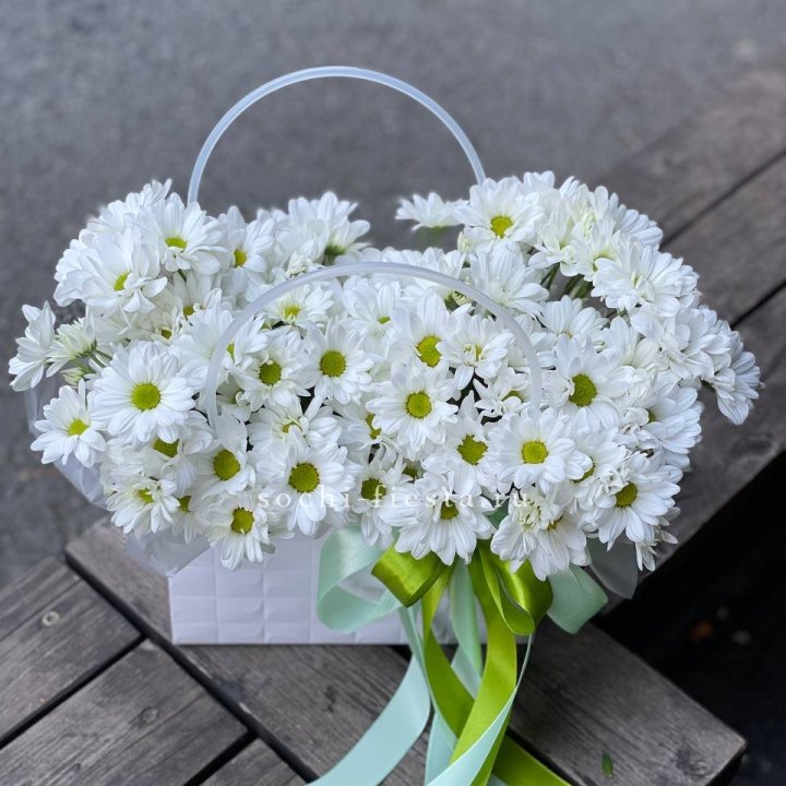 Сумка с хризантемами ромашками в Прокопьевске