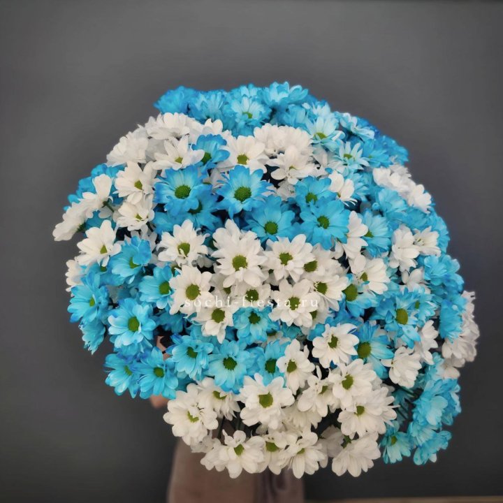  Букет хризантем микс в Прокопьевске