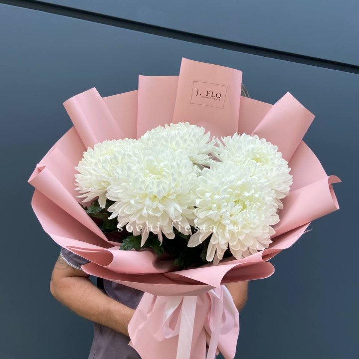 Профитроли №2 в Прокопьевске