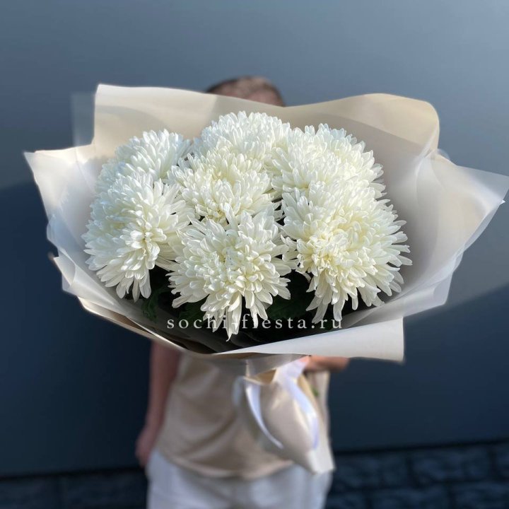 Профитроли в Прокопьевске