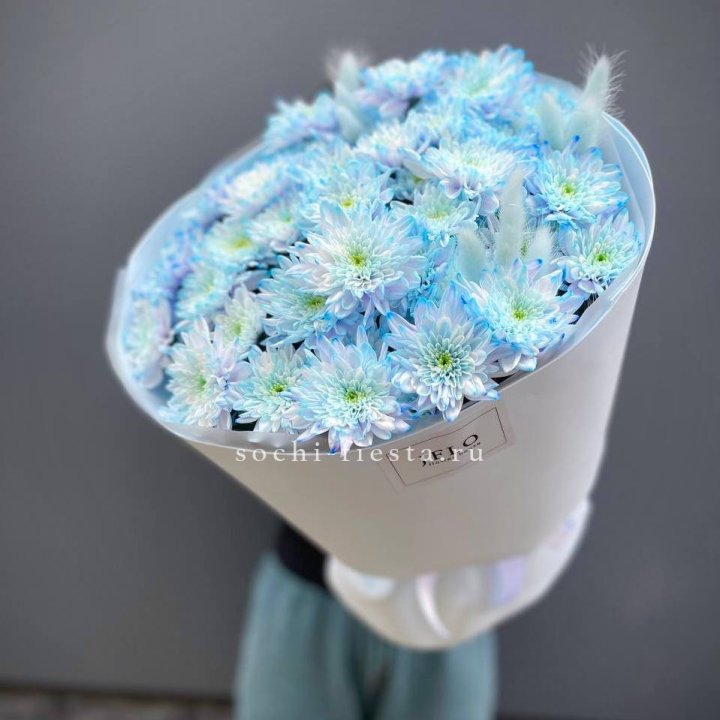  Букет нежно-голубых хризантем  в Прокопьевске