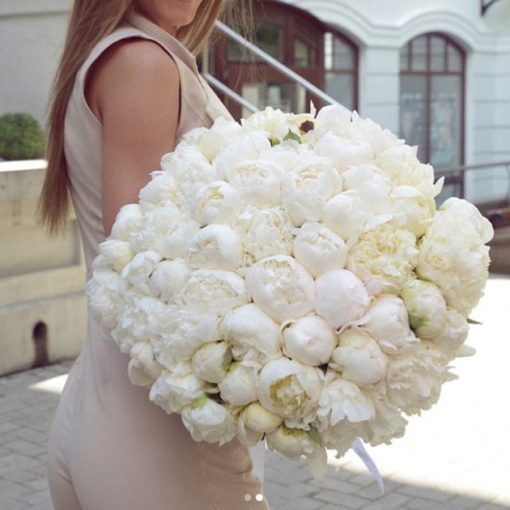 51 белый пион в Прокопьевске