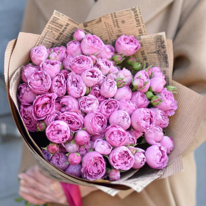 Роза Мисти Баблс в Прокопьевске