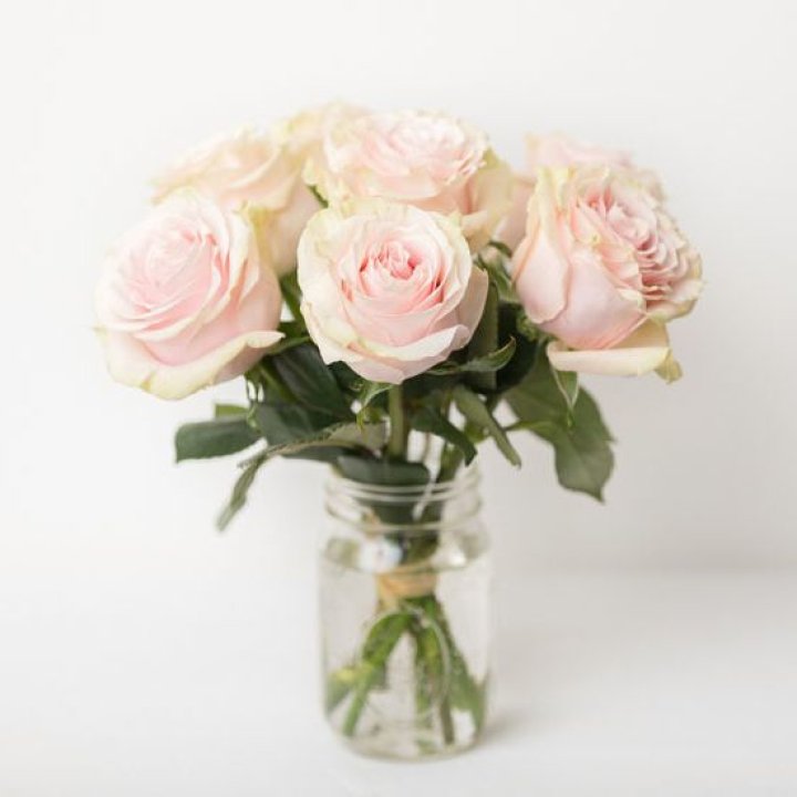 7 кремовых роз в Прокопьевске