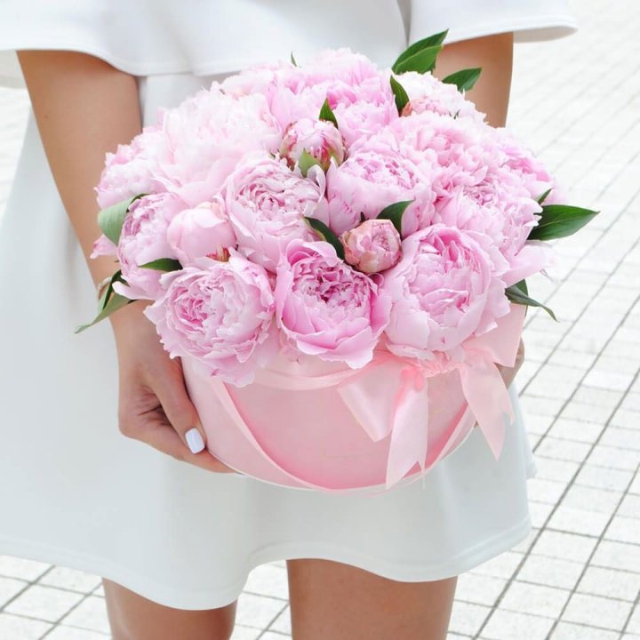 Пионы в шляпной коробке в Прокопьевске