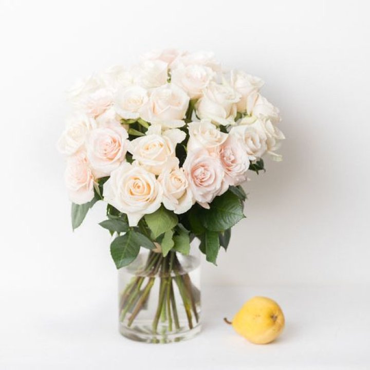 25 кремовых роз в Прокопьевске