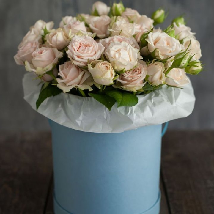 Бокс с бомбастиком в Прокопьевске