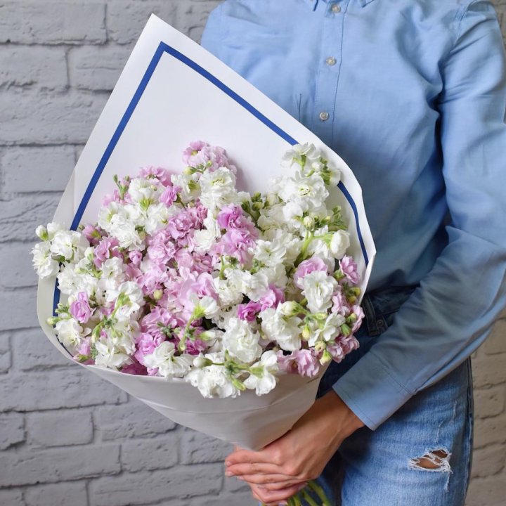 Маттиола в Прокопьевске